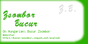 zsombor bucur business card